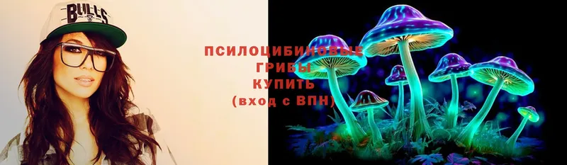 где продают наркотики  Лабытнанги  Галлюциногенные грибы Magic Shrooms 